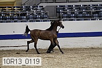 10r13_0119 thumbnail