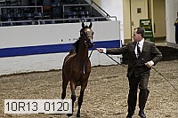 10r13_0120 thumbnail