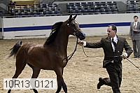 10r13_0121 thumbnail