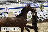 10r13_0122 thumbnail