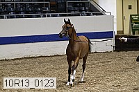 10r13_0123 thumbnail