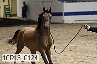 10r13_0124 thumbnail