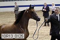 10r13_0125 thumbnail