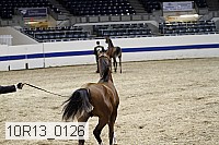 10r13_0126 thumbnail