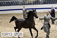 10r13_0128 thumbnail