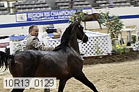 10r13_0129 thumbnail
