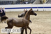 10r13_0130 thumbnail