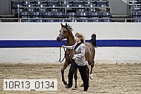 10r13_0134 thumbnail