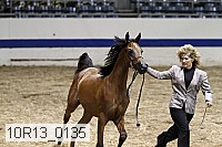 10r13_0135 thumbnail