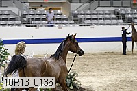 10r13_0136 thumbnail