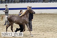 10r13_0138 thumbnail