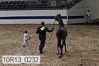 10r13_0232 thumbnail