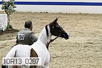 10r13_0287 thumbnail