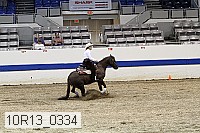 10r13_0334 thumbnail