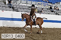 10r13_0460 thumbnail