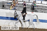 10r13_0787 thumbnail