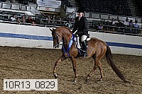 10r13_0829 thumbnail