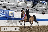 10r13_1386 thumbnail