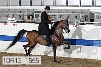 10r13_1555 thumbnail
