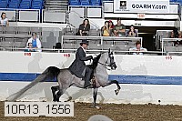 10r13_1556 thumbnail