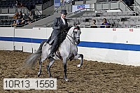 10r13_1558 thumbnail
