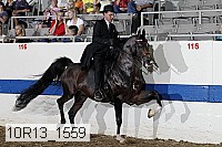 10r13_1559 thumbnail