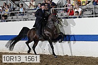 10r13_1561 thumbnail