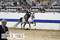 10r13_1562 thumbnail