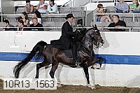 10r13_1563 thumbnail