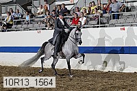 10r13_1564 thumbnail