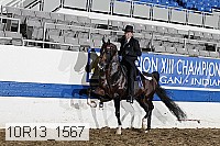 10r13_1567 thumbnail