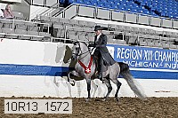 10r13_1572 thumbnail
