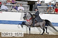 10r13_1575 thumbnail