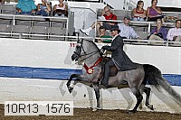10r13_1576 thumbnail