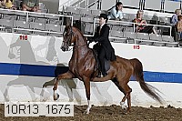 10r13_1675 thumbnail