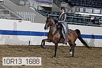 10r13_1688 thumbnail