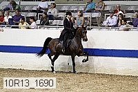 10r13_1690 thumbnail