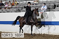 10r13_1691 thumbnail