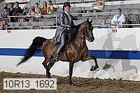 10r13_1692 thumbnail