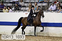10r13_1693 thumbnail