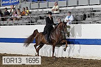 10r13_1695 thumbnail