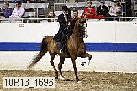 10r13_1696 thumbnail