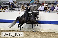 10r13_1697 thumbnail
