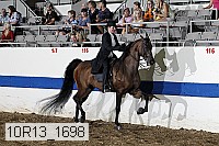 10r13_1698 thumbnail