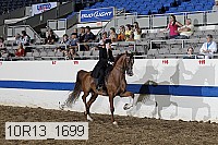 10r13_1699 thumbnail