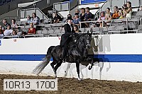 10r13_1700 thumbnail