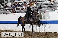 10r13_1701 thumbnail