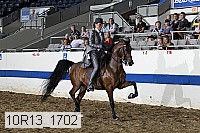 10r13_1702 thumbnail