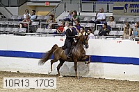 10r13_1703 thumbnail