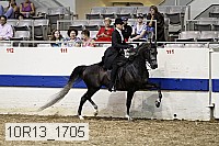 10r13_1705 thumbnail